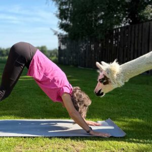 Alpaka-Yoga ohne Frühstück am 17.07.26 um 9 Uhr